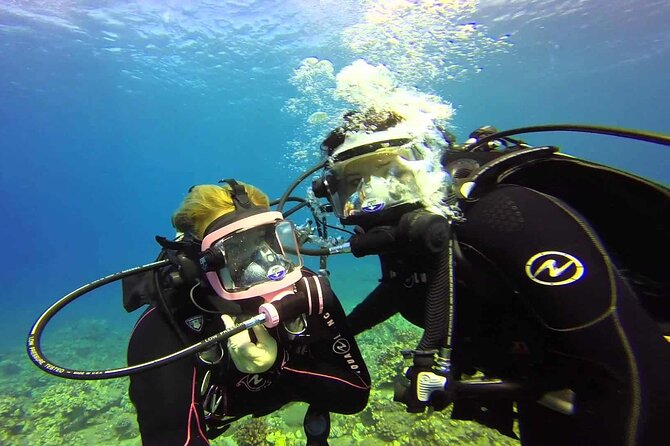 Discover Scuba Diving Full Mask - Overview and Program Details