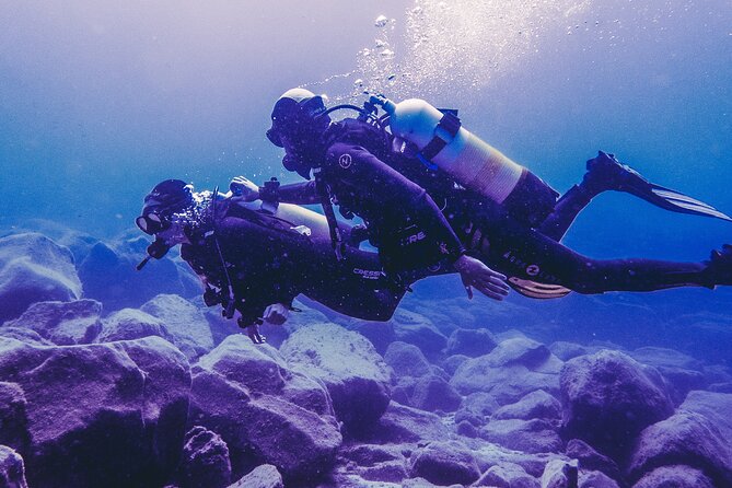 Discover Scuba Diving, Tenerife. Photos and Videos Included - Unforgettable Underwater Experiences
