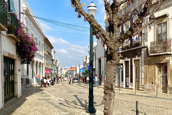Discover Tavira - Tapas and Wine Tour - Tour Overview and Customization