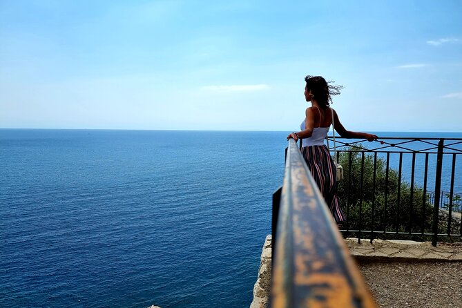 Discover the Beautiful Nice in a Walking Tour - Historical Landmarks