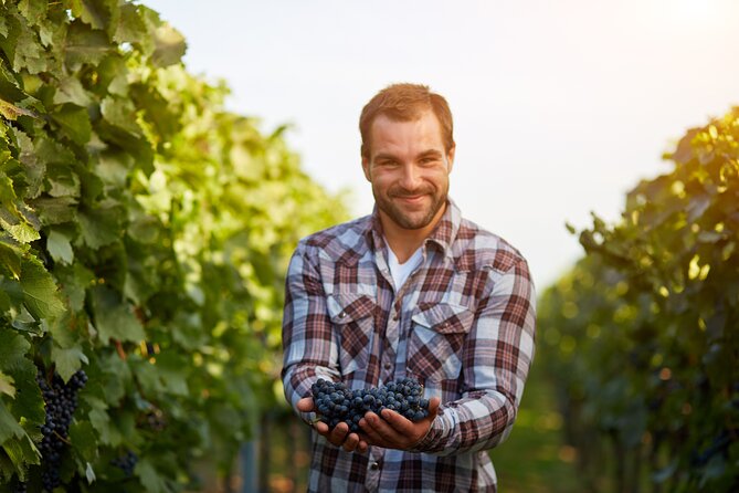 Discover the Winery and Taste Fine Wine in Extremadura - The Historical Winemaking Tradition