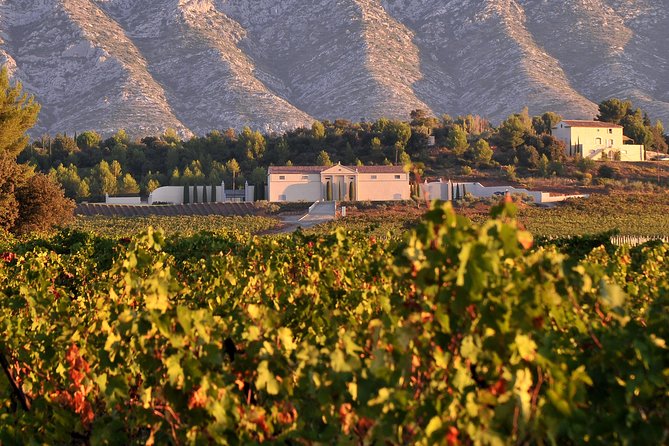 Discovering Château Gassier - Vineyards and Winemaking