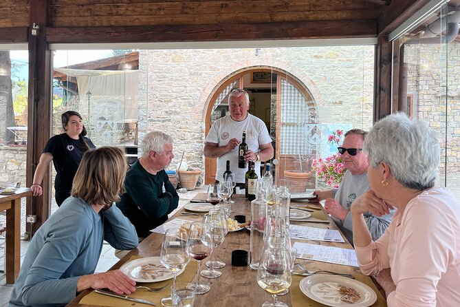 Discovering Chianti, E-Bike Tour - Daily Experience - Tour Highlights