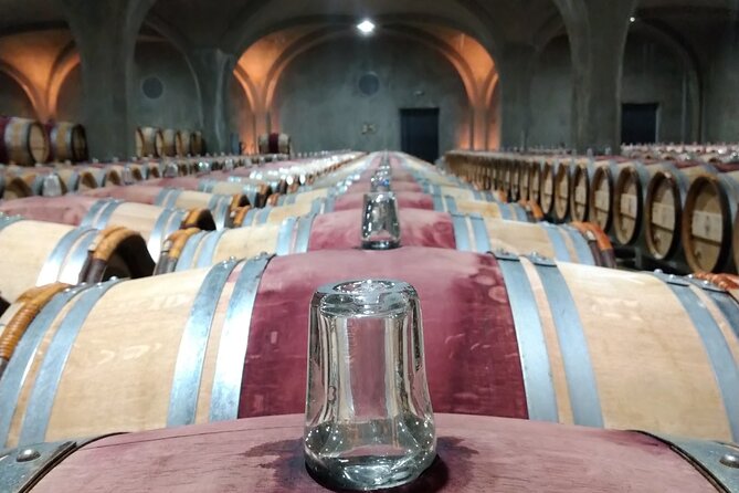 Discovery Day of the Médoc Classified Wines - Private Tour - Médoc Classified Wines Overview