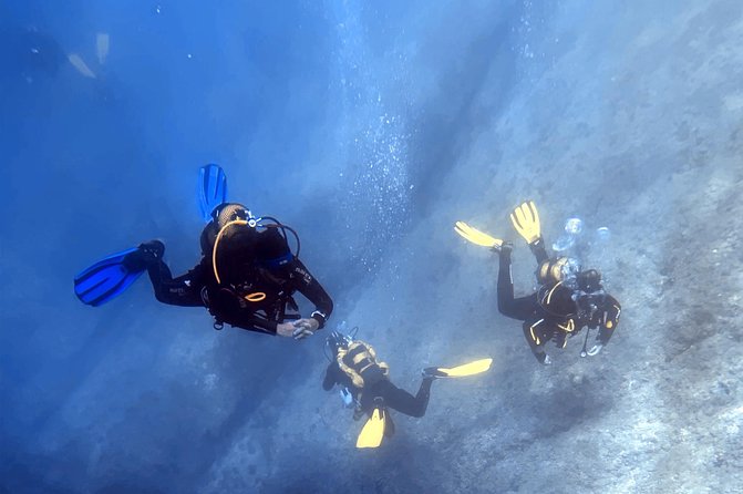 Diving Baptism in the Marine Reserve of Cabo Tiñoso - Exploring Cabo Tiñosos Underwater World