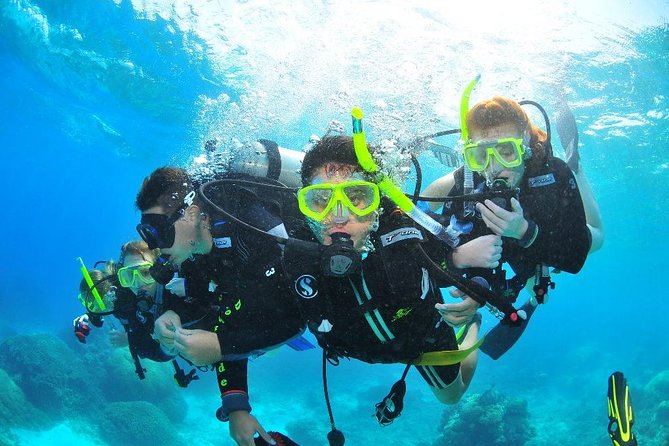 Diving (For Beginner Diver) - Pattaya - Safety Standards and Techniques