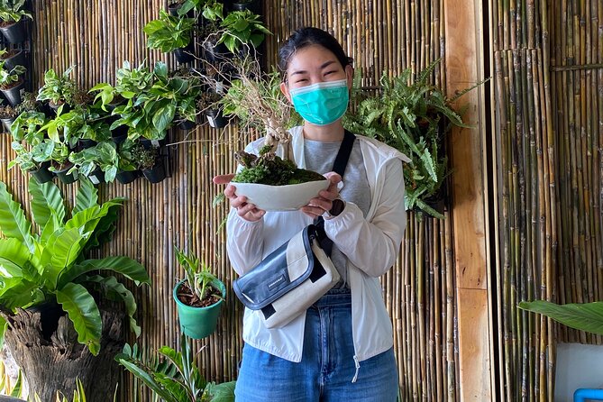 DIY Terrarium Workshop in Hua-Hin - Inclusions