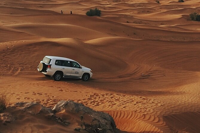 Doha Private Half-Day Guided Desert Safari Tour - Tour Highlights