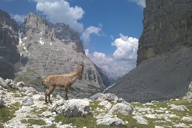 Dolomites Hiking Tour - Overview of Dolomites Hiking Tour