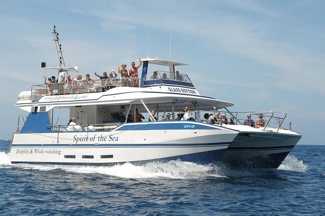 Dolphin and Whales Watching Cruise From Puerto Rico De Gran Canaria - Pricing and Booking