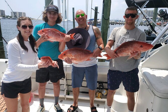 Dolphin Tour & Inshore Fishing Adventure (Flowing Water Charters) - Pricing and Booking