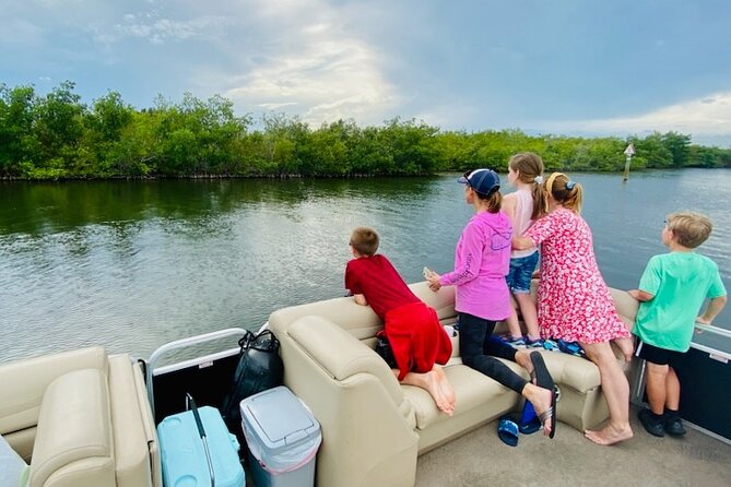 Dolphin Tour With Local Expert - Price and Inclusions