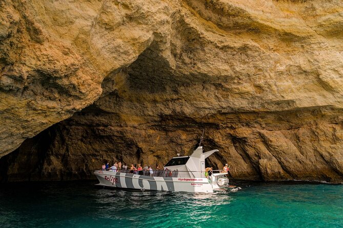 Dolphin Watching and Cave Boat Cruise From Albufeira - Overview of the Experience