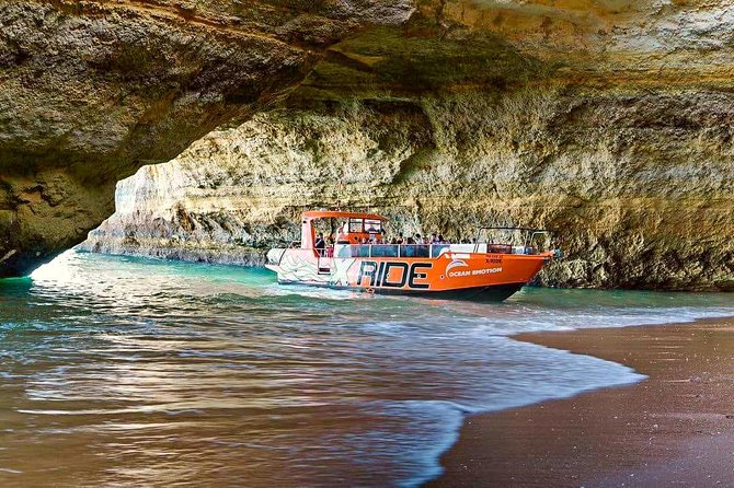 Dolphin Watching and Caves Cruise - Flexible Cancellation Policy for Peace of Mind