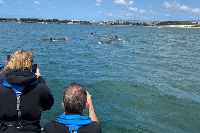 Dolphin Watching in Lisbon - Overview and Itinerary