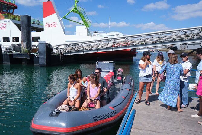 Dolphin Watching in Setúbal - Meeting and Pickup Information for Dolphin Watching