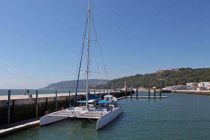 Dolphin Watching Tour by Catamaran From Lisbon - Tour Details