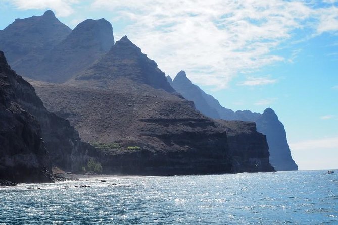 Dolphins Watching and Coastal Catamaran Sailing Cruise - Cruise Details