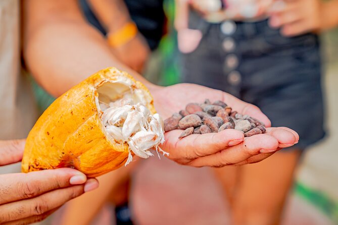 Dominican Republic Countryside Safari Tour From Punta Cana - Overall Recommendation and Benefits