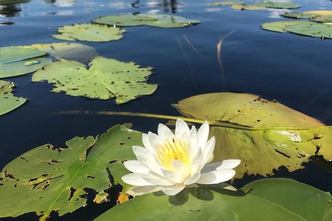 Door County Wetlands Kayak Tour - Tour Details