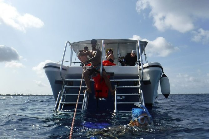Double Dip Snorkel Trip - Trip Details