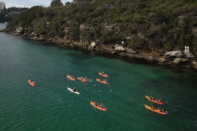 Double Kayak Hire - 4 Hours - Overview and Features