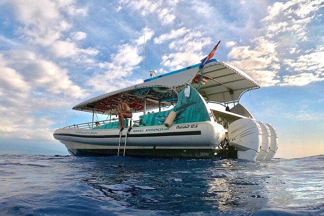 Double Reef Snorkel, Dolphin & BBQ - Meeting and Pickup