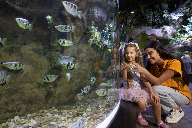 Dubai Aquarium and Underwater Zoo Entrance Ticket - Inclusions With the Entrance Ticket