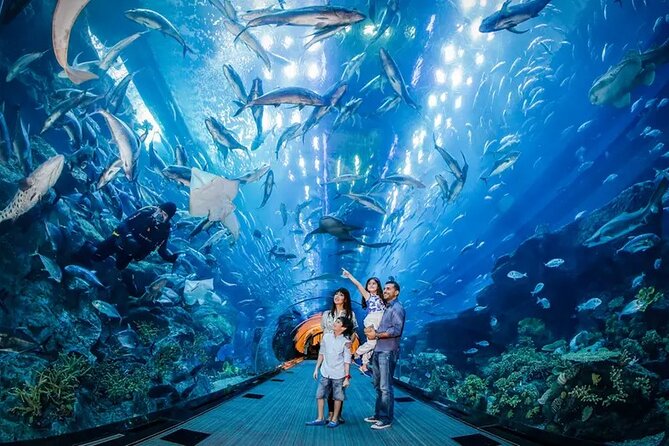Dubai Aquarium and Underwater Zoo Entry Tickets - Pricing and Booking