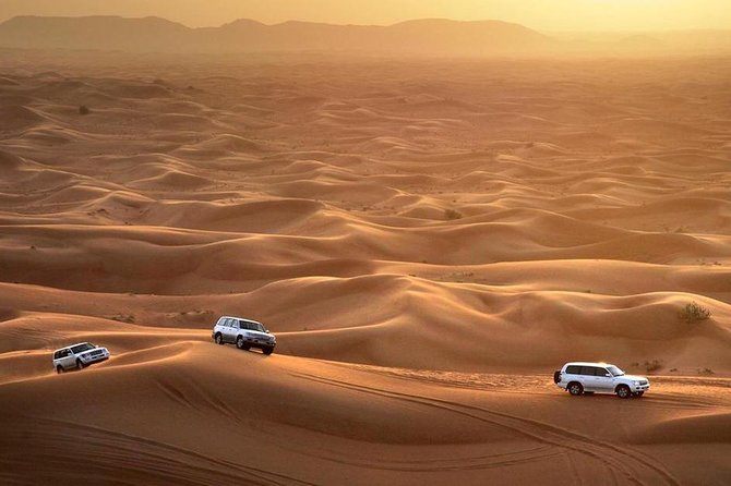 Dubai Desert Safari 4x4 Dune Bashing, Camel Ride, Sand Boarding, BBQ Dinner - Highlights and Customer Experience