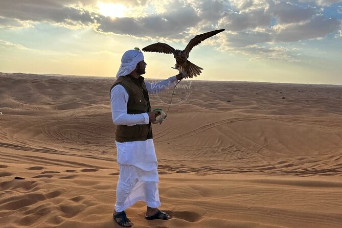 Dubai Red Dunes Evening Desert Safari With BBQ Dinner and Live Show - Activity Overview