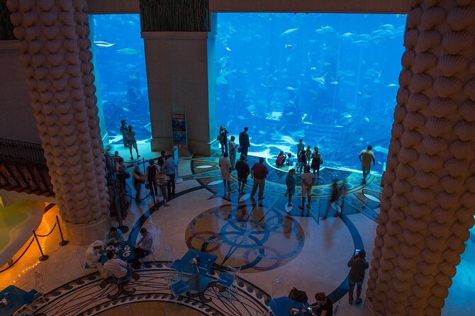 Dubai The Lost Chambers Aquarium Entrance Ticket - Additional Information