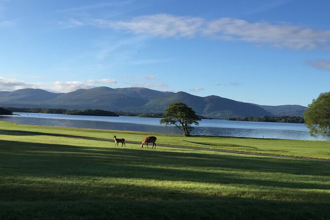 Dublin Airport Private Transfer: Killarney to Dublin Airport - Pricing and Booking Details