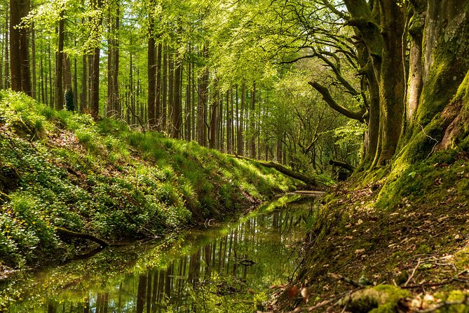 Dublin to County Wicklow & Glendalough Private Day Trip by Car - Pricing and Booking Details
