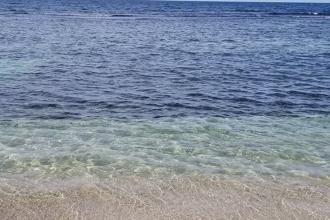 Dunns River Falls and Blue Hole Combo Tour From Ocho Rios & Runaway Bay - Private Guide and Transportation