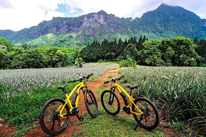 E-Bike Moorea Electric Bike Rental Moorea - Pricing and Booking Details