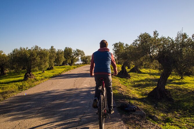 E-Bike Rent Sierra De Las Nieve (Alozaina). Free GPS Tracks and App Included. - E-Bike Rental Details