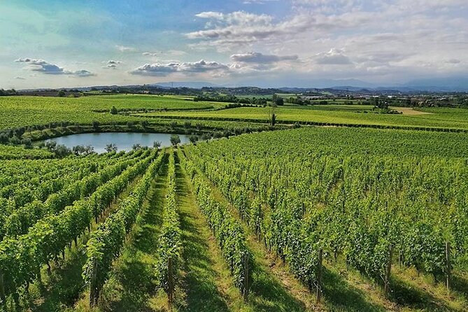 E-Bike Tour and Wine Tasting From Desenzano Inland - Planning Your E-Bike Tour