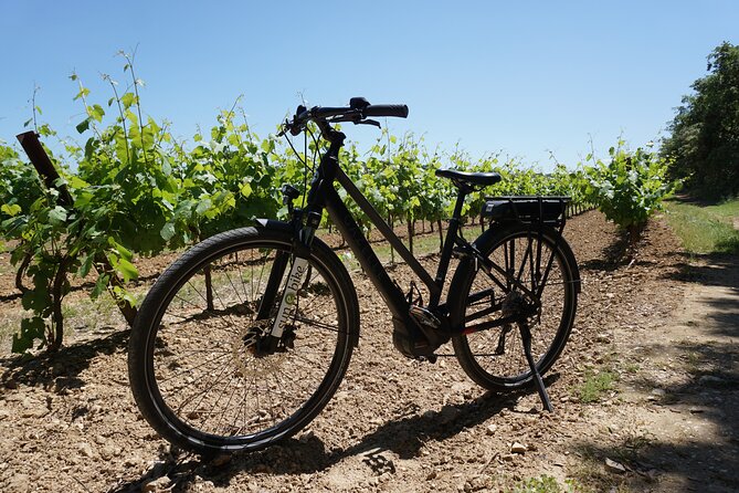 E-Bike Tour and Wine Tasting From Vaison La Romaine - Meeting and Pickup Details