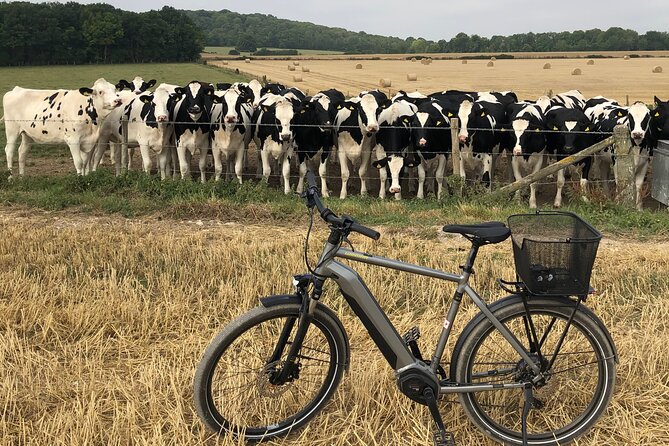 E.Bike Tours Around Heidelberg - Cancellation Policy and Reviews