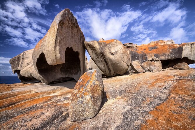 【Adelaide】 5 Days Explore Package - Date and Travelers