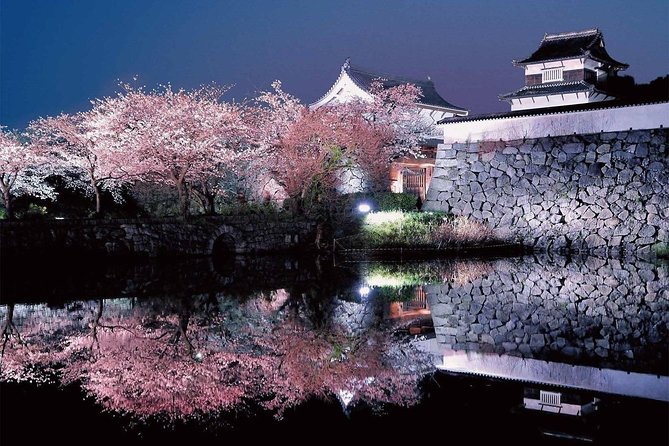 北九州で桜を巡る1日チャーターバスツアー - Included Services