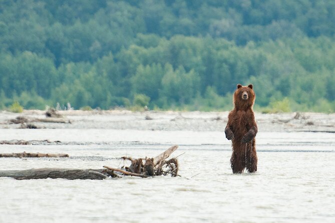 Eagle Preserve Float Trip in Haines - Tour Overview and Highlights