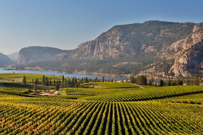 East Kelowna Wine Tour - Classic - 4 Wineries - Featured Wineries and Their Unique Offerings