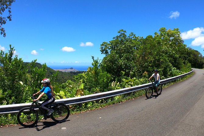 Ebike Tour Honolulu Rainforest - Pricing and Booking