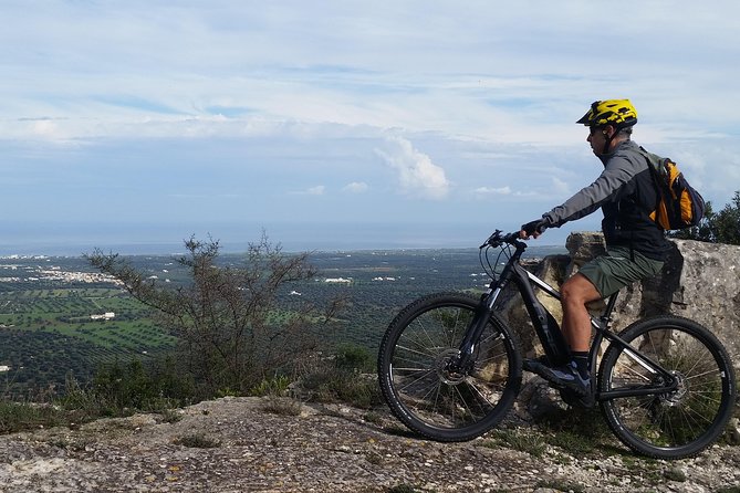 Ebike Tours: Alberobello and the Wines of Valle Ditria - Tour Itinerary