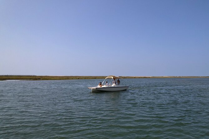 Eco Boat Tour in the Ria Formosa Lagoon From Faro - End Point and Cancellation Policy