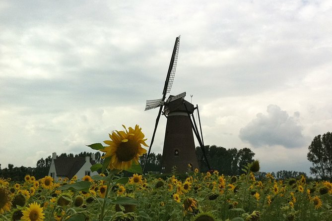 Eindhoven: E-Fatbike Tour in the Footsteps of Vincent Van Gogh - Tour Highlights