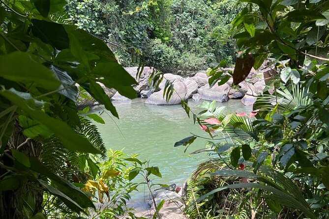 El Yunque and Playa Luquillo Casual Day Trip  - San Juan - Tour Overview and Details
