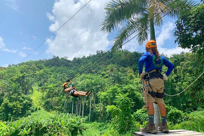 El Yunque National Forest Ziplining Experience  - Luquillo - Experience Details